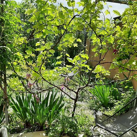 T.Belle Vue Panoramique Au Coeur Du Luberon 40M2 + Pergola . Jardin. P Daire Apt Dış mekan fotoğraf