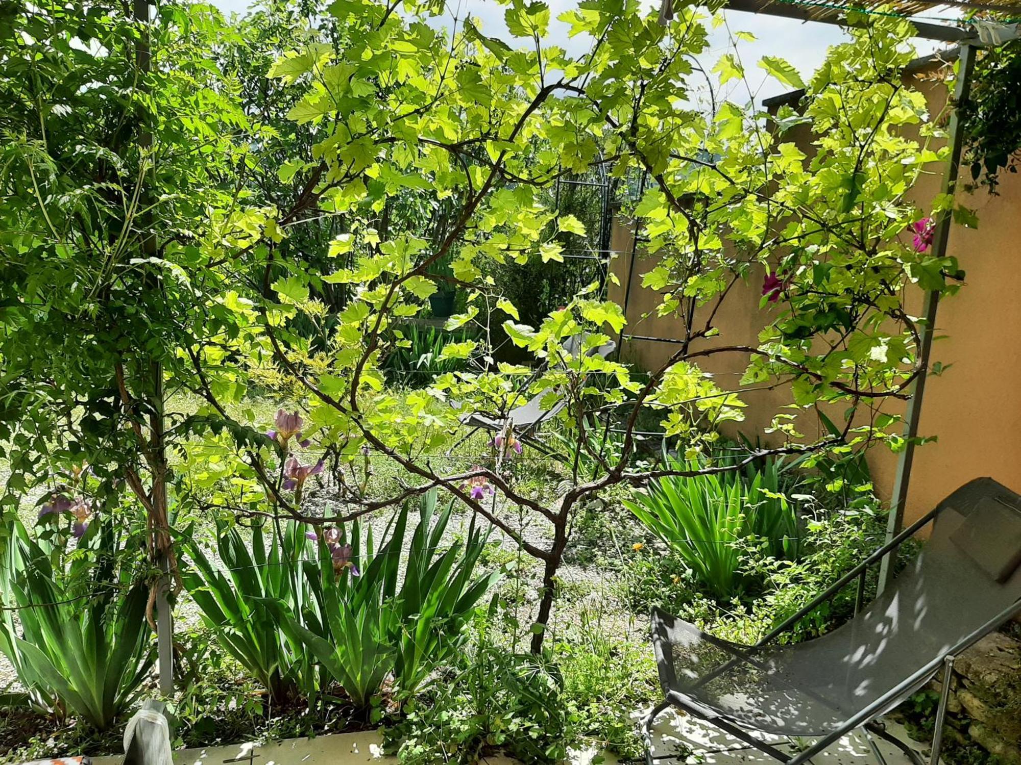 T.Belle Vue Panoramique Au Coeur Du Luberon 40M2 + Pergola . Jardin. P Daire Apt Dış mekan fotoğraf